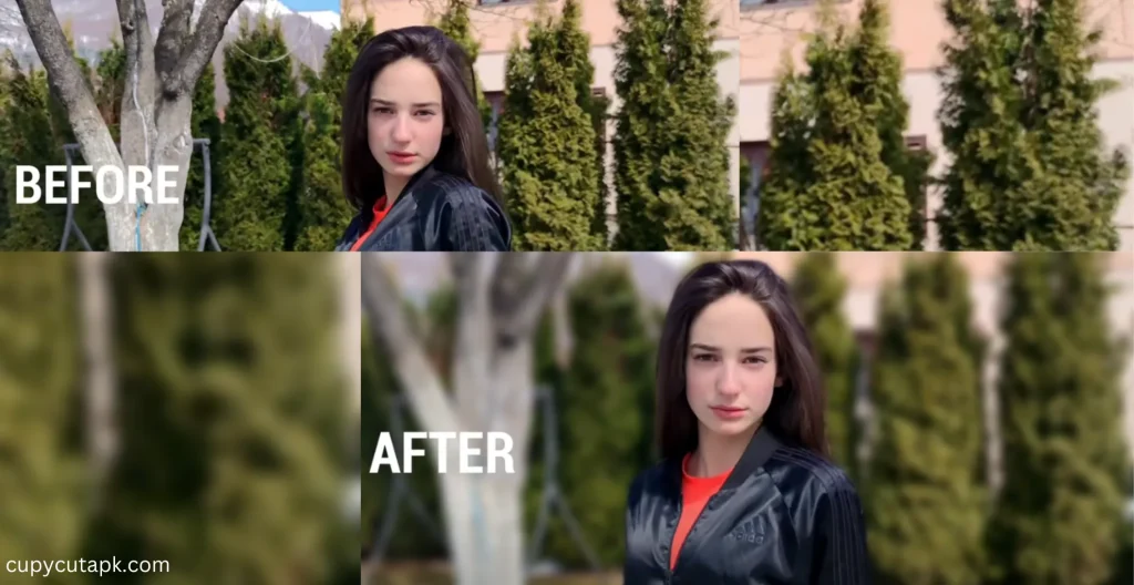 use of blur effect in capcut